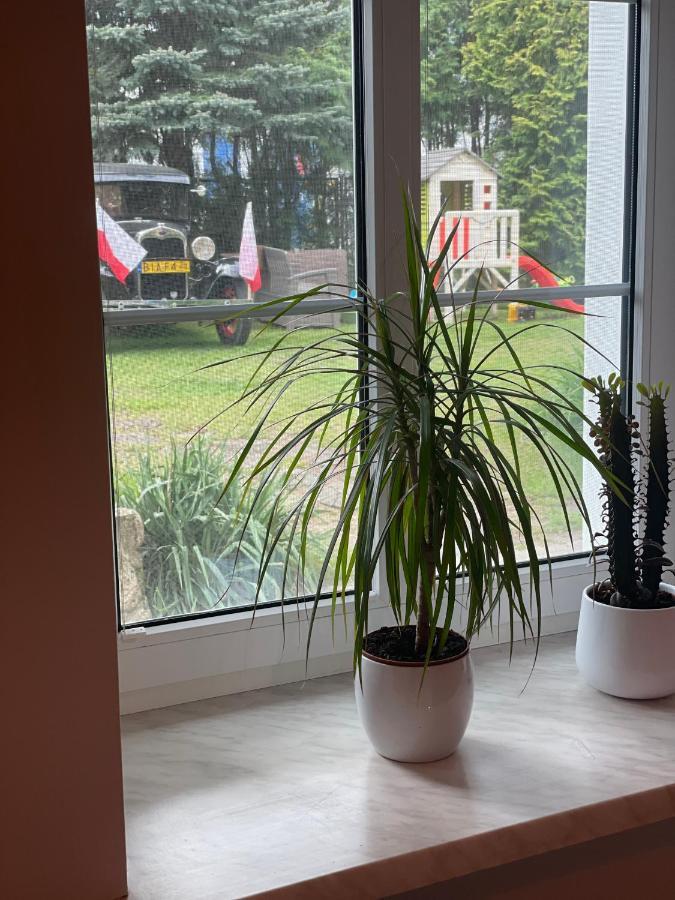 Apartament Hania ティコチン エクステリア 写真